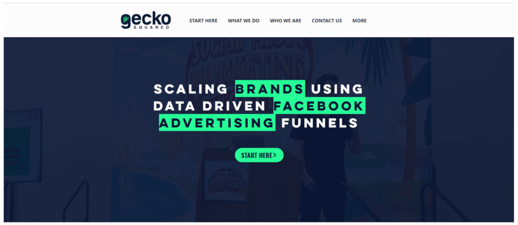 Gecko Squared Advertising Agency