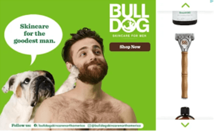 Example of Google Display Ad from Bull Dog