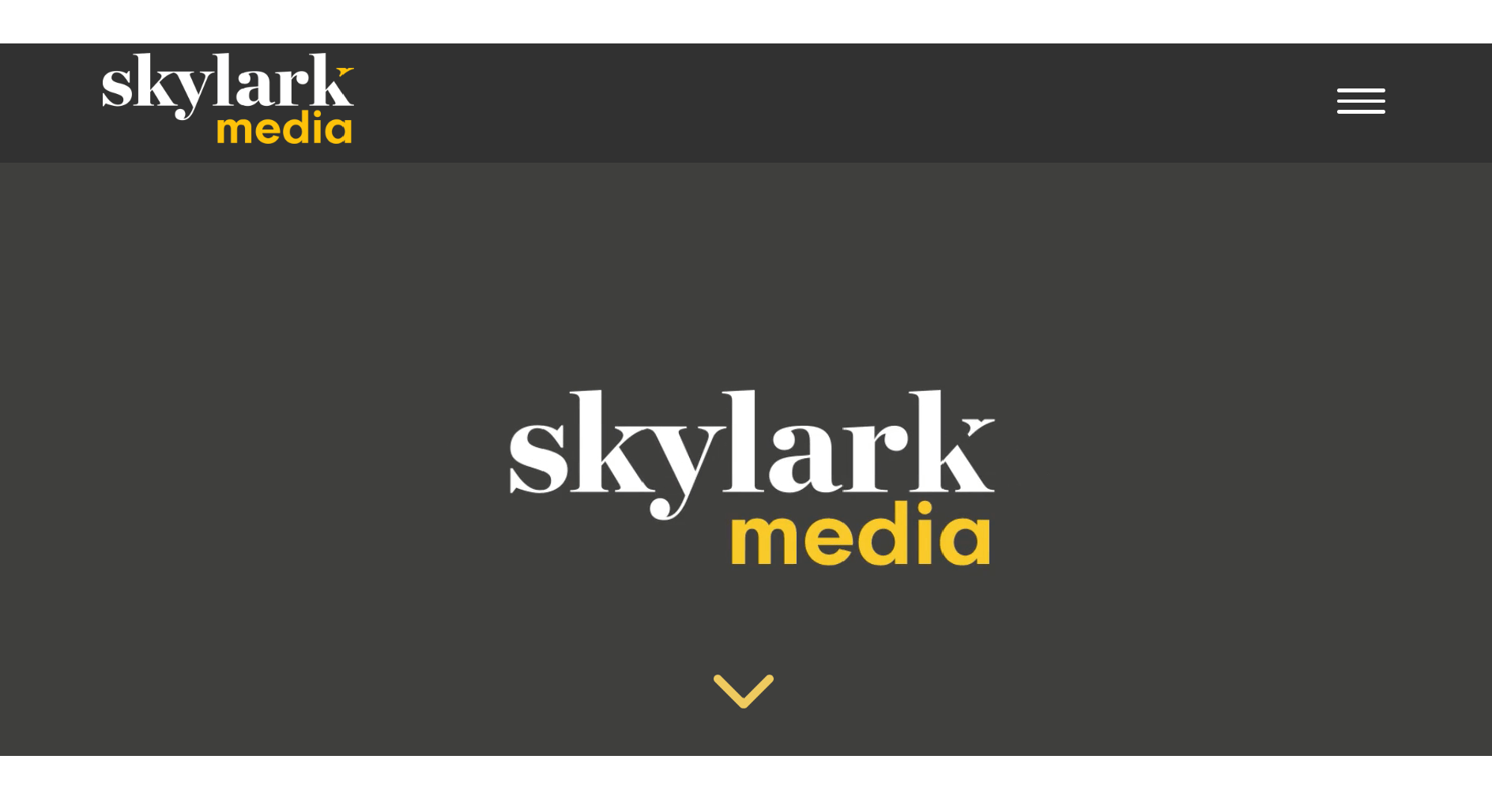 Skylark Media Video Marketing Agency
